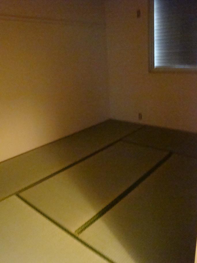 Other room space. Japanese style room