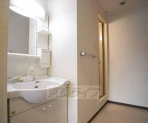 Washroom. Wide independent wash basin of the sink.