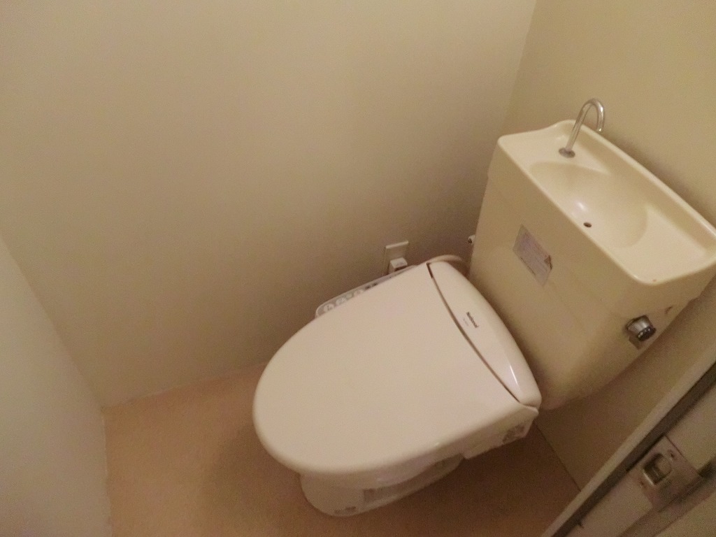 Toilet