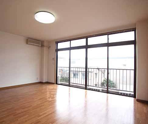 Living and room. Day is good with large windows.