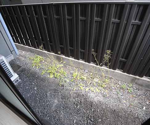 Balcony. The first floor is a little garden with.