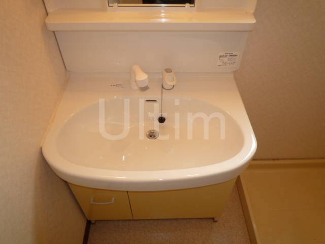 Washroom. Shampoo dresser