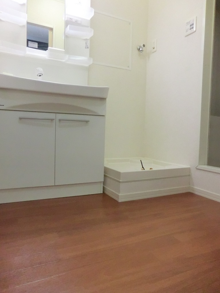 Other room space. Dressing room