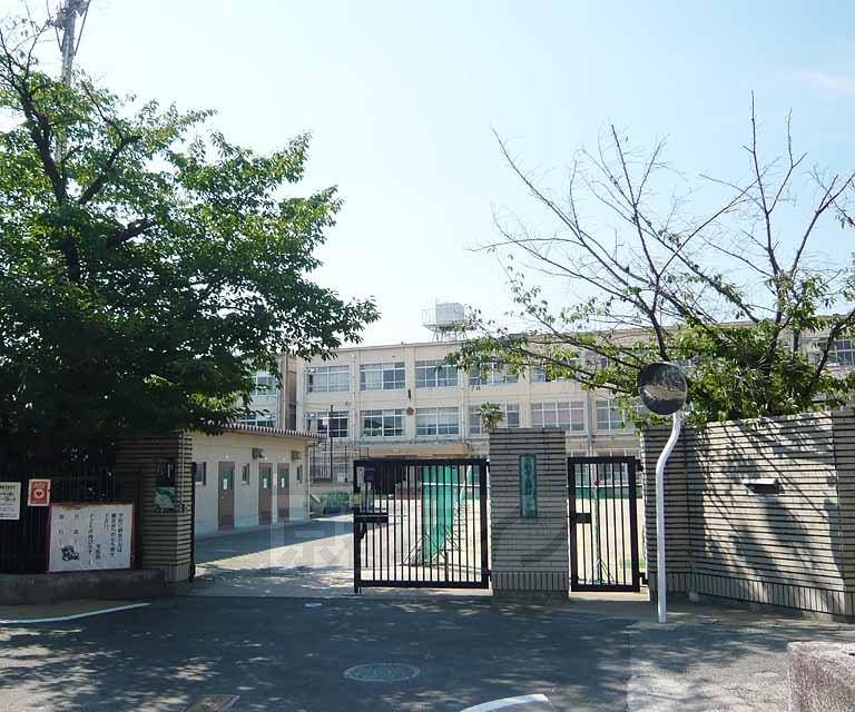 Primary school. Nassho 250m up to elementary school (elementary school)