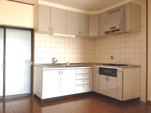 Kitchen. Indoor (11 May 2013) Shooting