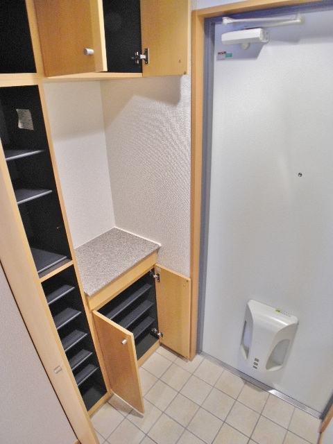 Receipt. It is also safe in those who have a lot of shoes