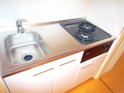 Kitchen. Two-burner gas stove with kitchen