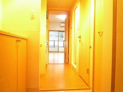 Living and room. From the front door