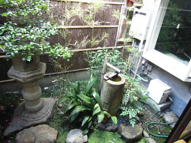 Garden. Local (12 May 2013) Shooting