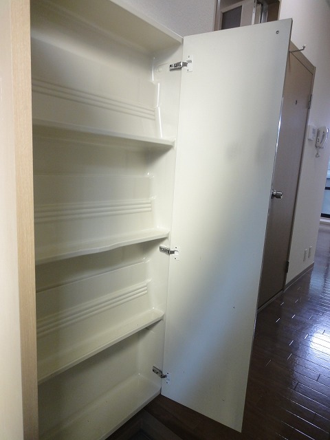 Entrance. Entrance neat dated shoes BOX