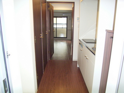 Entrance. From the front door