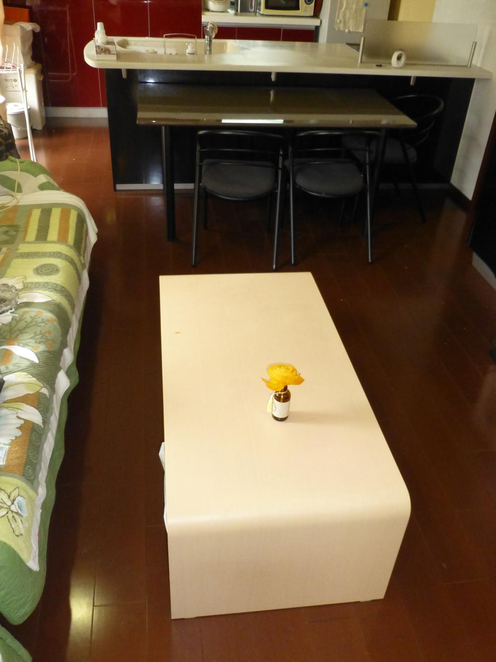 Living. Indoor (July 2013) Shooting