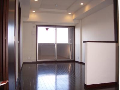 Living and room. Living