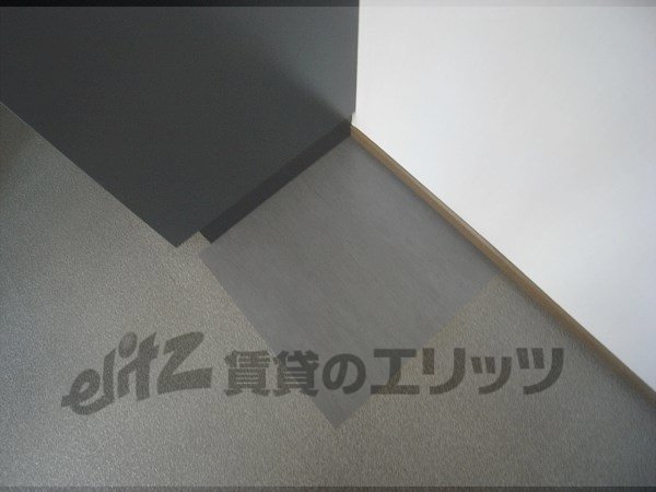 Other room space. Refrigerator yard