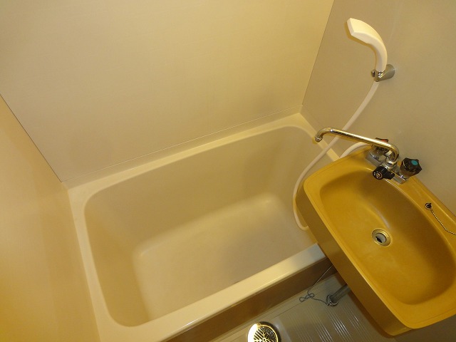 Bath. Tub portion of the unit bus (It is a photograph of a separate room)