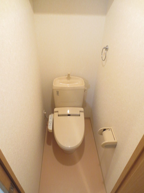 Toilet. Warm water washing toilet seat