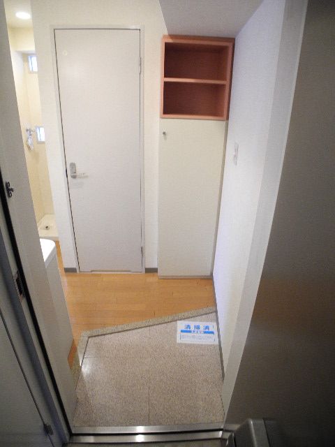 Entrance. Shoe box storage space pat!