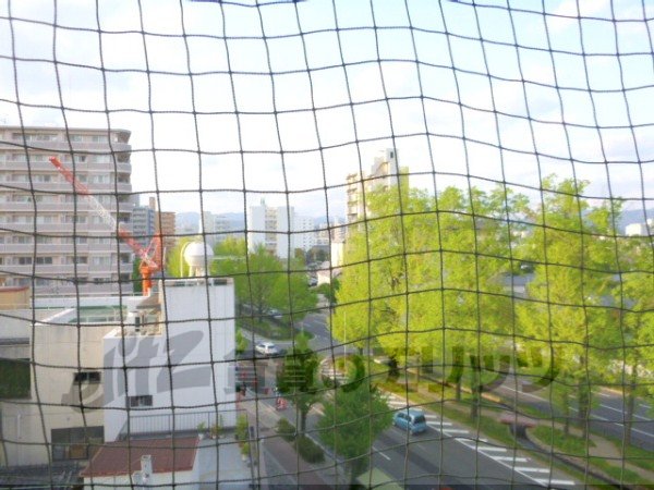 View. It is north-facing view