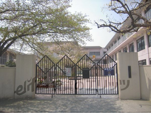 Junior high school. 530m to Tokyo junior high school (junior high school)