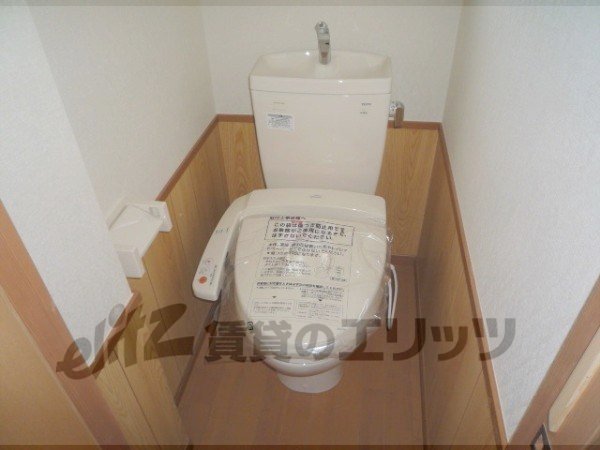 Toilet. Toilet with a bidet