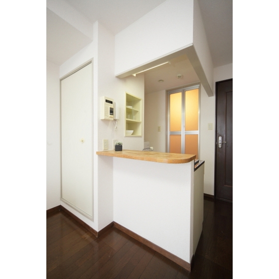 Kitchen. Counter Kitchen