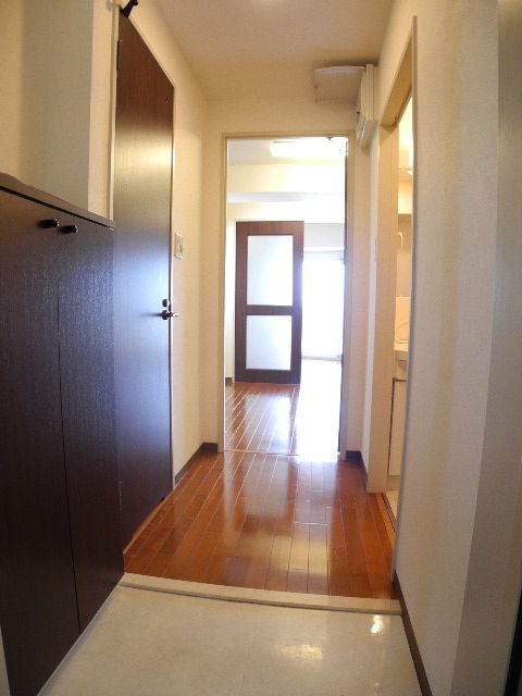 Entrance. There is almost no difference in level of the entrance and the corridor! But it is safe