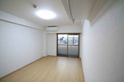 Living and room. Isomorphic Mansion Type Image