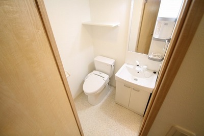 Washroom. Isomorphic Mansion Type Image