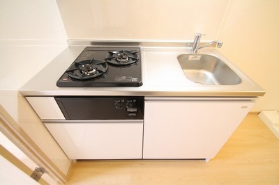 Kitchen. Isomorphic Mansion Type Image