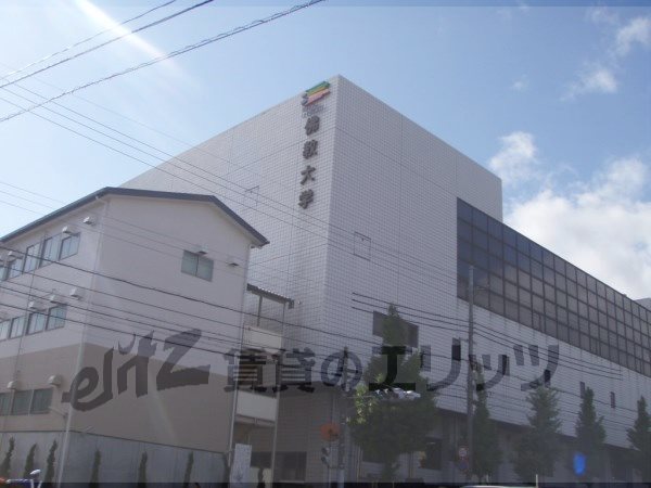 University ・ Junior college. Buddhist University (University ・ 2000m up to junior college)