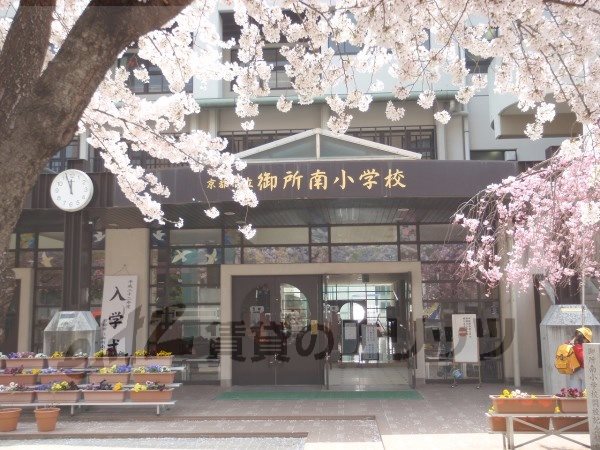 Primary school. Imperial Palace 650m south to elementary school (elementary school)