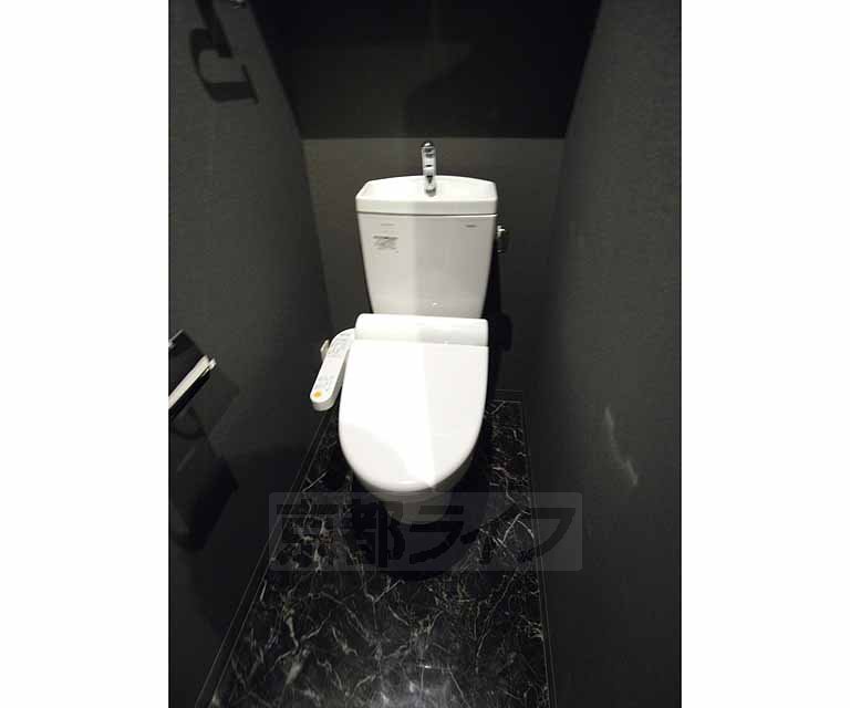 Toilet. Stylish toilet.