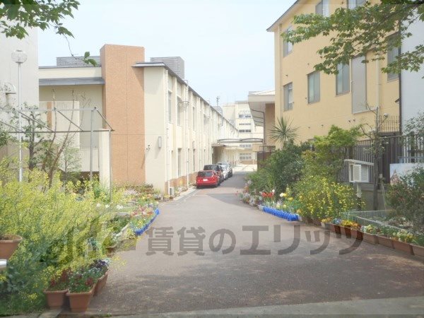 Primary school. Qianlong to elementary school (elementary school) 590m