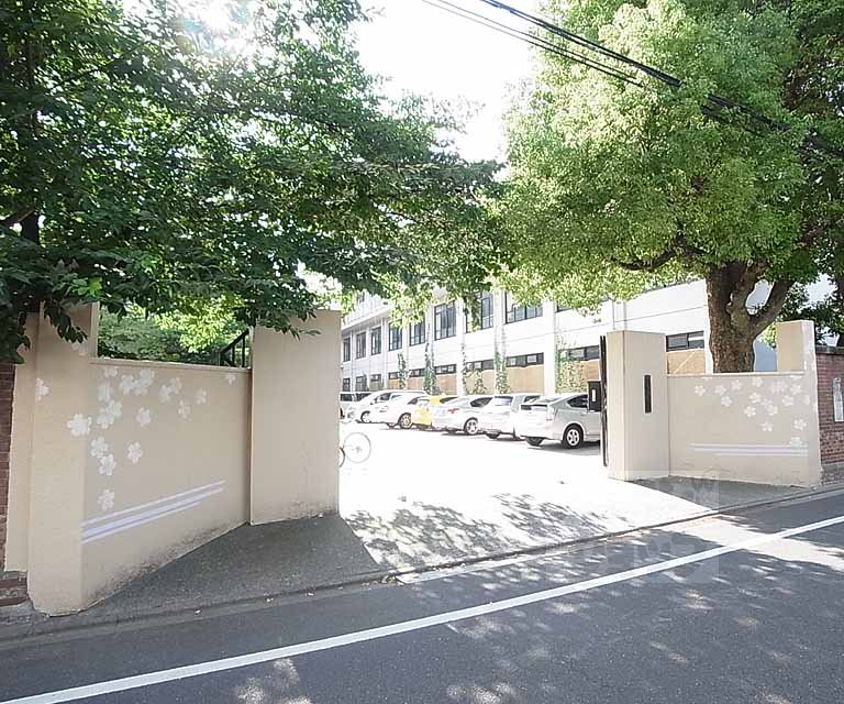 Junior high school. 430m to Tokyo junior high school (junior high school)