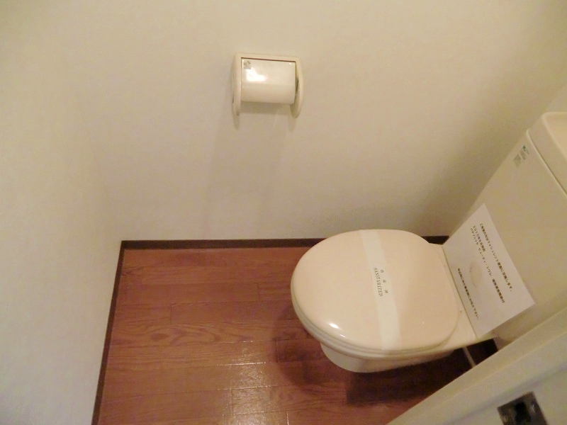 Toilet. Water around cleaning being completed ☆