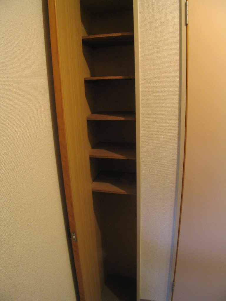 Other. There are shoes BOX