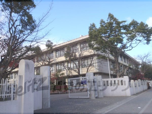 Junior high school. 520m until Kitano junior high school (junior high school)