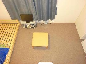 Living and room. Carpet of the room