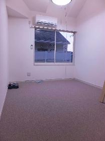 Living and room. Carpet of the room