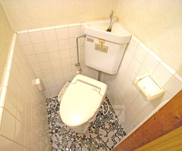 Toilet. Clean, great toilet.