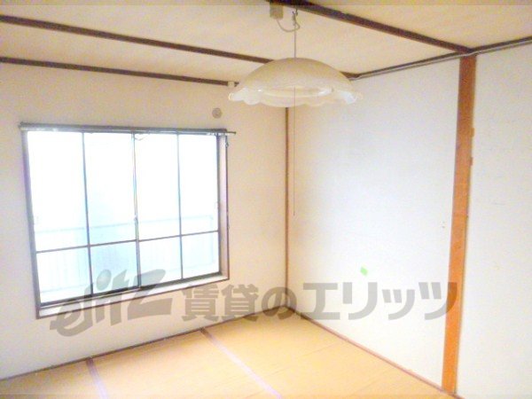 Living and room. Tatami of the spacious room