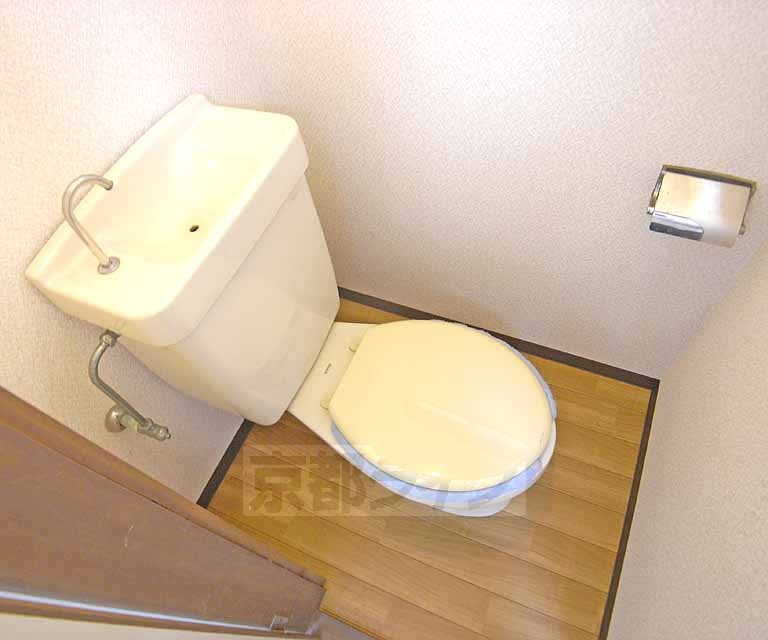 Toilet. Clean, great toilet.