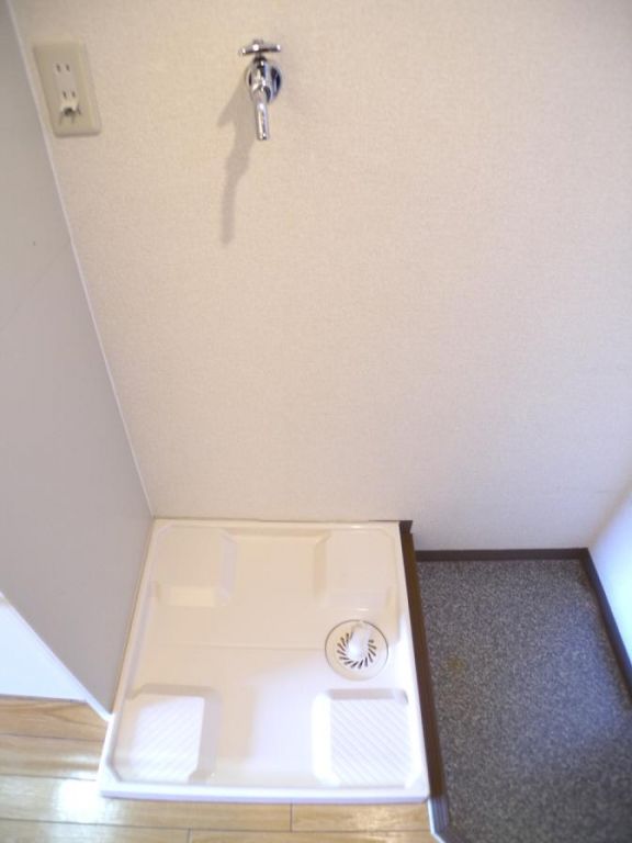 Other room space. Washing machine in the room