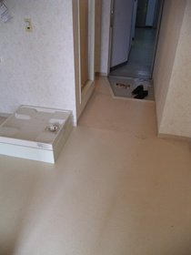 Entrance. Other type room image