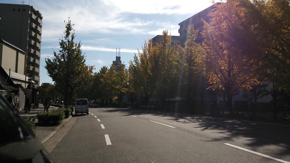 Streets around. Continued is Horikawadori of ginkgo tree-lined. 