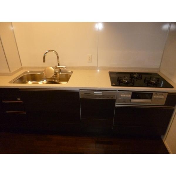 Kitchen. Dish washing dryer