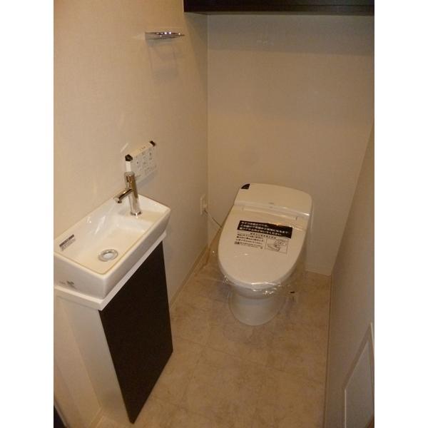 Toilet. Handwashing toilet