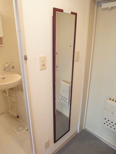 Entrance. The entrance next to you there is a full-length mirror mirror (a photograph of the same type by Room No.)