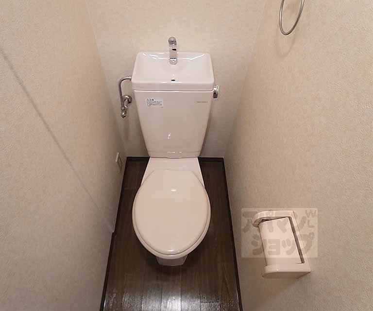 Toilet. Toilet