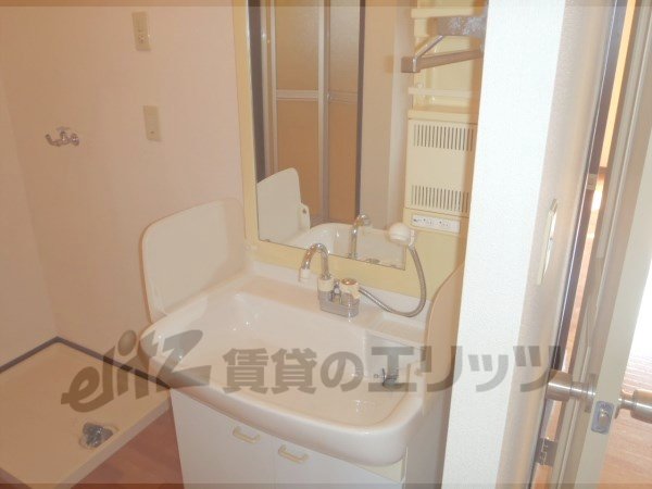 Washroom. Shampoo dresser